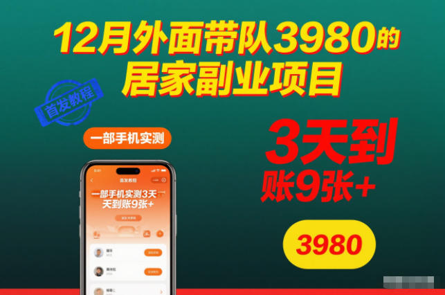 12月外面带队3980的居家副业项目，一部手机实测3天到账9张+，首发教程【揭秘】-Ai创业网