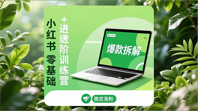 小红书零基础+高阶训练营：安全养号、爆款拆解、长效运营，实现稳定涨粉与变现-Ai创业网