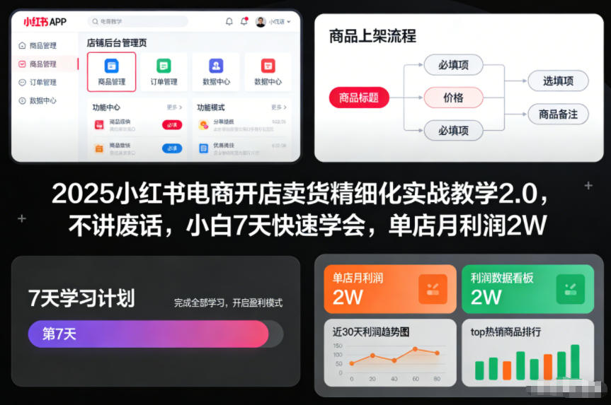 2025小红书电商开店卖货精细化实战教学2.0，不讲废话，小白7天快速学会，单店月利润2W-Ai创业网