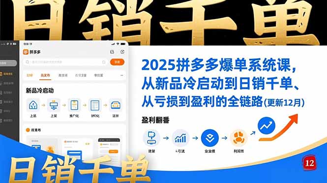 2025拼多多爆单系统课，从新品冷启动到日销千单、从亏损到盈利的全链路(更新12月-Ai创业网