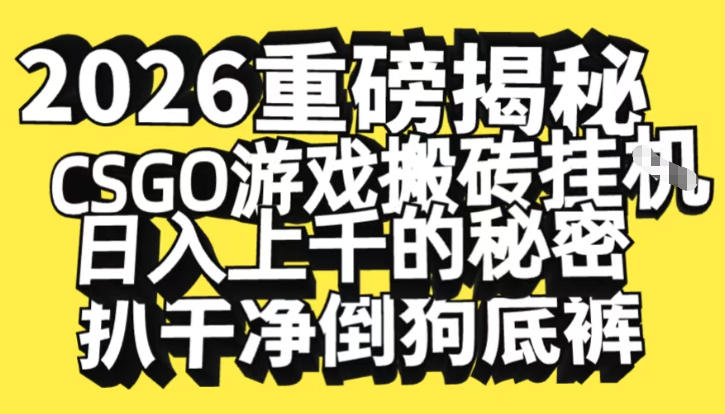 2026开年重磅解密，CSGO游戏搬砖挂G日入1k+的秘密，把倒狗的底裤扒干【揭秘】-Ai创业网