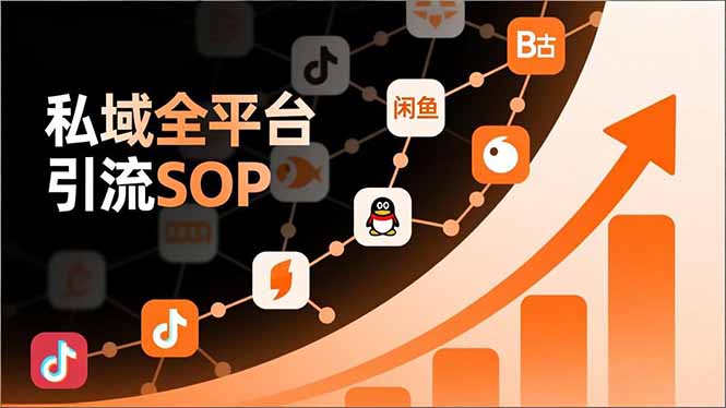 私域全平台引流SOP，抖音/快手/小红书/微信/QQ/B站/闲鱼等，技术合集，高效转化公域流量-Ai创业网