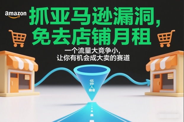 抓亚马逊漏洞，免去店铺月租，一个流量大竞争小，让你有机会成大卖的赛道-Ai创业网