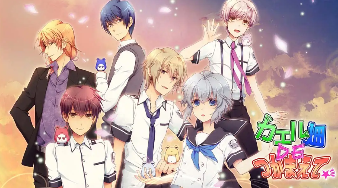 《蛙畑奇事 カエル畑DEつかまえて 乙女》Switch日文版XCI下载 – 含1.0.0补丁-Ai创业网