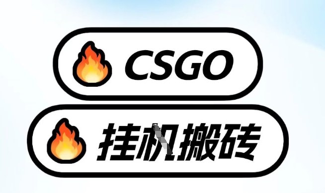 真全网独家CSGO挂G，最新玩法,单日捡漏1K+，不用电脑，不用打游戏【揭秘】-Ai创业网