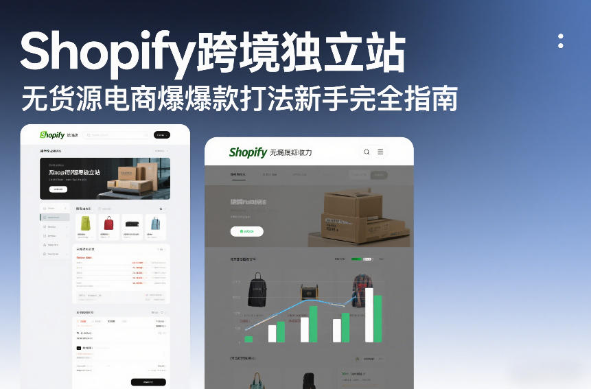 Shopify跨境独立站无货源电商爆款打法新手完全指南-Ai创业网