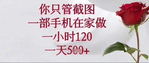 你只管截图，一部手机在家操作，一小时120.一天5张【揭秘】-Ai创业网