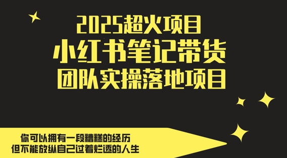 2025超火项目，副业最佳选择，小红书笔记带货团队实操落地项目，，轻松日入5张-Ai创业网