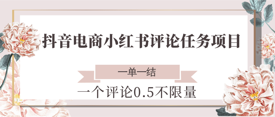 抖音电商小红书评论任务项目，一个评论0.5，一单一结 不限量-Ai创业网