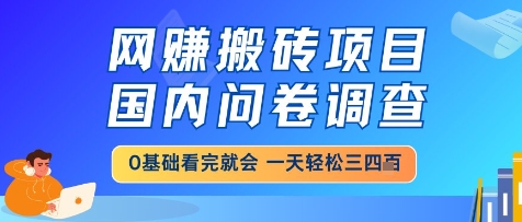 网创搬砖项目，国内问卷调查，小白轻松上手，一天三四张的也不难，干就完了【揭秘】-Ai创业网