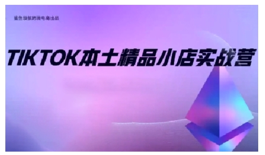 TikTok本土精品小店出海实战营，从入门到高阶，不止0-1!-Ai创业网