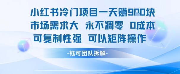 小红书冷门项目一天收益9张，市场需求大，0成本，可复制性强可以矩阵操作-Ai创业网
