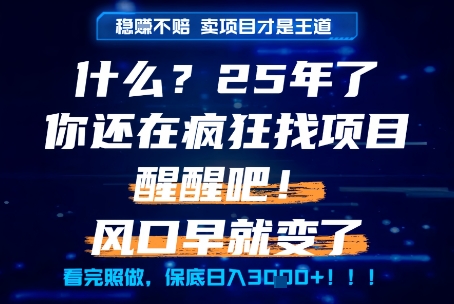 什么？25年你还在疯狂找项目做，醒醒吧，看完这些你全都懂了！【揭秘】-Ai创业网