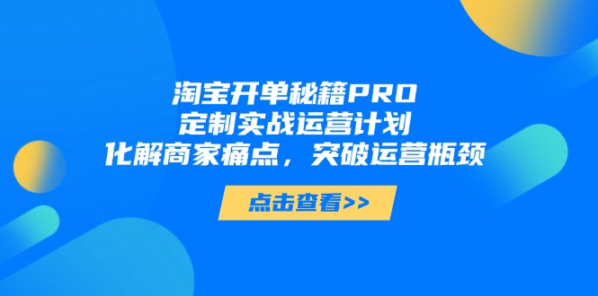 淘宝开单秘籍PRO，定制实战运营计划，化解商家痛点，突破运营瓶颈-Ai创业网