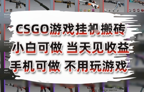 CSGO游戏挂G搬砖，小白纯手机即可操作，不用电脑打游戏，日入3张+，副业网创项目【揭秘】-Ai创业网
