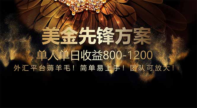 免费技术！小众赛道！一年布局抵三年努力，每日800+-Ai创业网