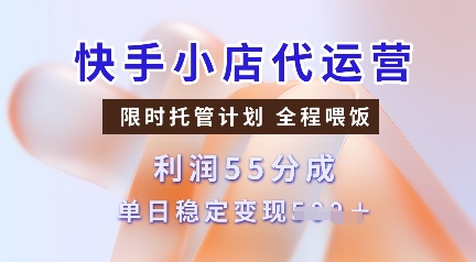 快手小店代运营，限时托管计划，收益55分，单日稳定变现多张【揭秘】-Ai创业网