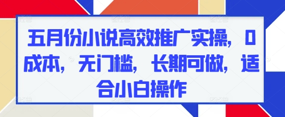 五月份小说高效推广实操，0成本，无门槛，长期可做，适合小白操作-Ai创业网