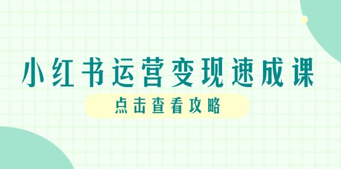小红书运营变现速成课，账号搭建到暴力起号，个人IP全流程指南-Ai创业网