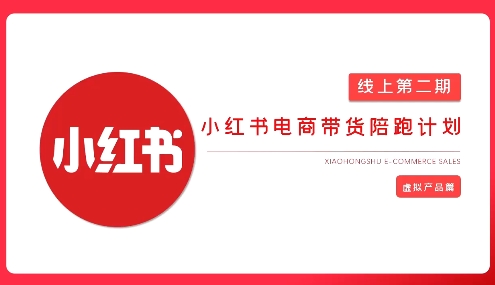 2025小红书虚拟电商实战课，从0到1打造无货源店铺，AI+爆款笔记轻松变现-Ai创业网