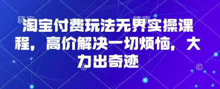 淘宝付费玩法无界实操课程，高价解决一切烦恼，大力出奇迹-Ai创业网