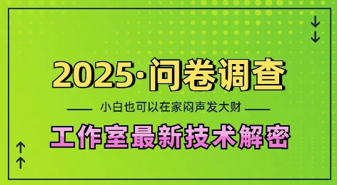 2025问卷调查最新工作室技术解密：一个人在家也可以闷声发大财，小白一天2张，可矩阵放大【揭秘】-Ai创业网