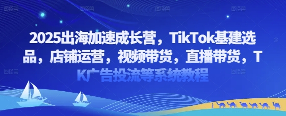 2025出海加速成长营，TikTok基建选品，店铺运营，视频带货，直播带货，TK广告投流等系统教程-Ai创业网