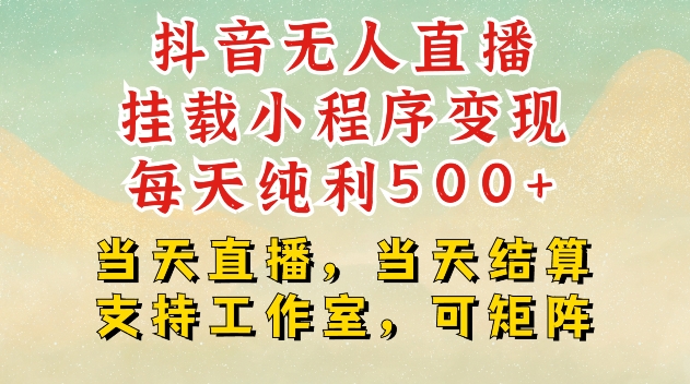 抖音无人直播挂载小程序变现每天纯利500+当天直播，当天结算支持工作室，可矩阵【揭秘】-Ai创业网