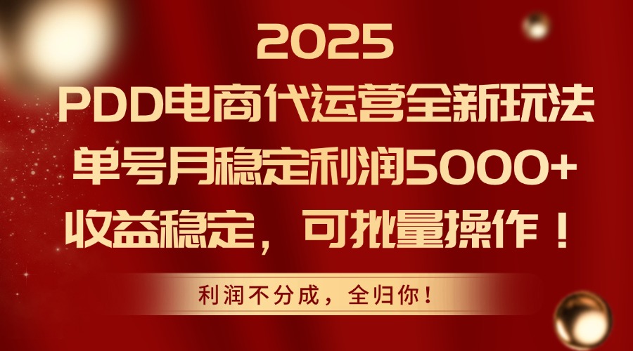 2025PDD电商代运营全新玩法，单号月稳定利润5000+，收益稳定，可批量操作-Ai创业网