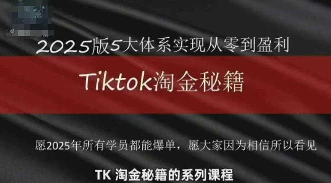 TikTok跨境2025淘金秘籍，​2025TikTok从0到盈利变现-Ai创业网