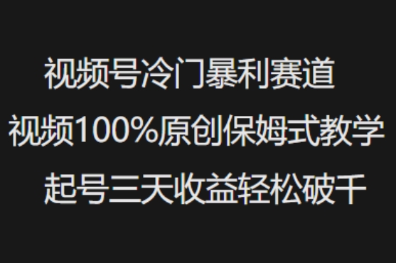 视频号冷门暴利赛道视频100%原创保姆式教学起号三天收益轻松破千-Ai创业网