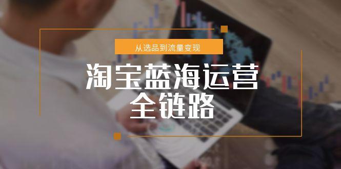 淘宝蓝海运营全链路，从选品到流量变现，小类目突围完整方案-Ai创业网