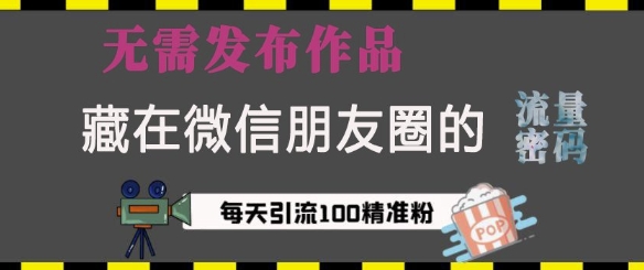 藏在微信朋友圈的流量密码，无需发布作品，单日引流100+精准创业粉【揭秘】-Ai创业网