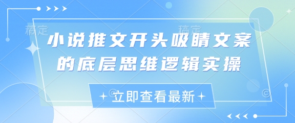 小说推文开头吸睛文案的底层思维逻辑实操-Ai创业网