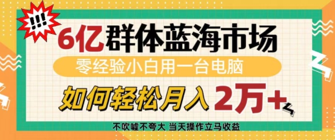 6亿群体蓝海市场，零经验小白用一台电脑，如何轻松月入过w【揭秘】-Ai创业网