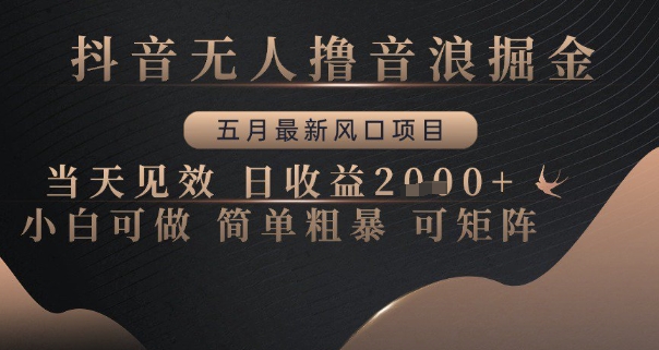 抖音无人撸音浪掘金，五月最新风口项目，当天见效，日收益多张，小白可做简单粗暴可矩阵【揭秘】-Ai创业网