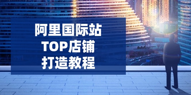 阿里国际站TOP店铺打造教程：涵盖平台到高阶，解决运营难题，提升询盘-Ai创业网