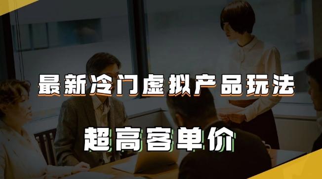 最新冷门虚拟产品玩法，超高客单价，月入2-3万＋【揭秘】-Ai创业网