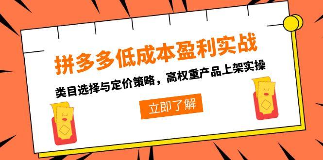 拼多多低成本盈利实战，类目选择与定价策略，高权重产品上架实操-Ai创业网