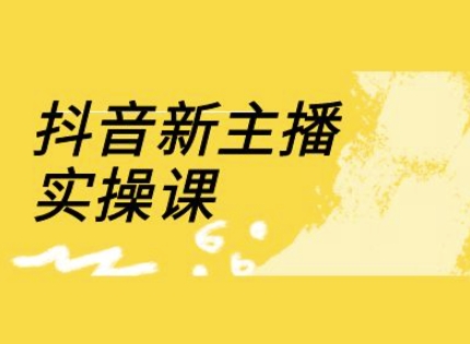 抖音新主播实操课，直播间流量运营线上实操课(18节)-Ai创业网
