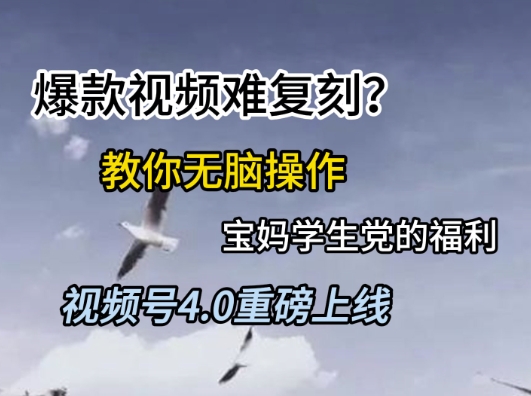 视频号4.0重磅上线，爆款视频难复刻？教你无脑操作宝妈学生党的福利【揭秘】-Ai创业网
