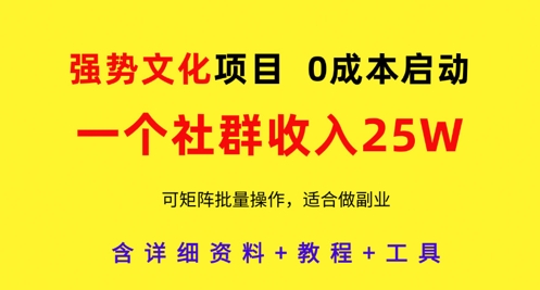 强势文化项目，一个社群收入25个W，0成本启动，可矩阵批量操作，原创详细实操教程-Ai创业网