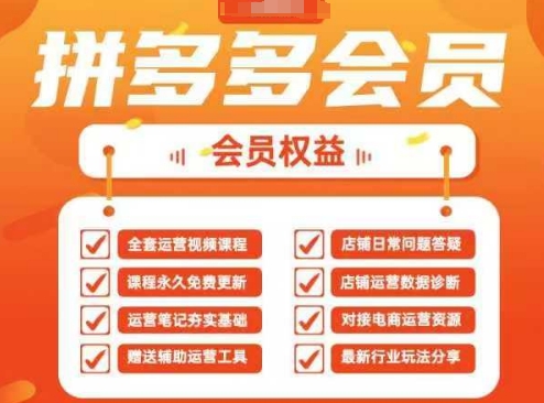2025拼多多运营实战课，40节全流程教学，覆盖拼多多运营全链路-Ai创业网