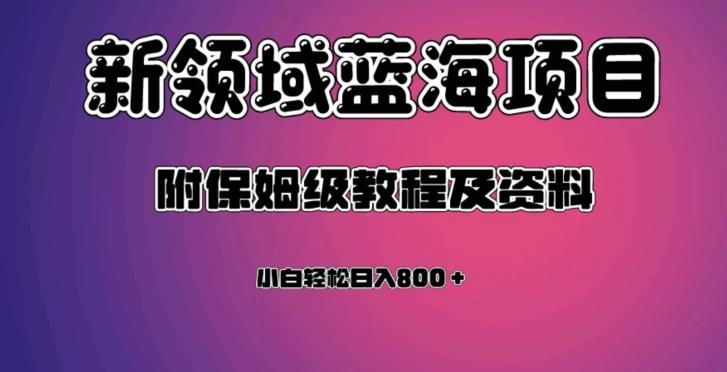 虚拟资源蓝海领域新项目，轻松日入800＋，附保姆级教程及资料-Ai创业网