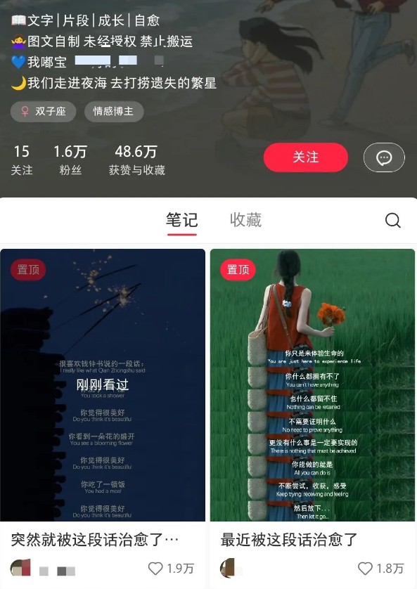 小红书治愈文案图文笔记，零门槛，一分钟制作轻松制作爆款作品月入万元-Ai创业网