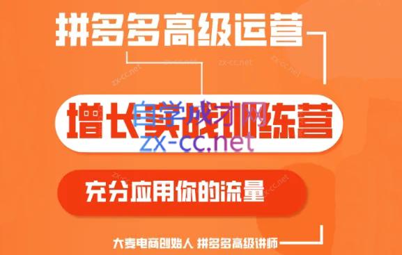 大麦老师·拼多多单品爆款打造课程(更新6月)-Ai创业网