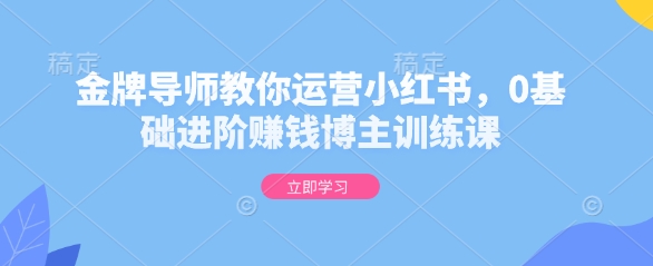 金牌导师教你运营小红书，0基础进阶赚钱博主训练课-Ai创业网