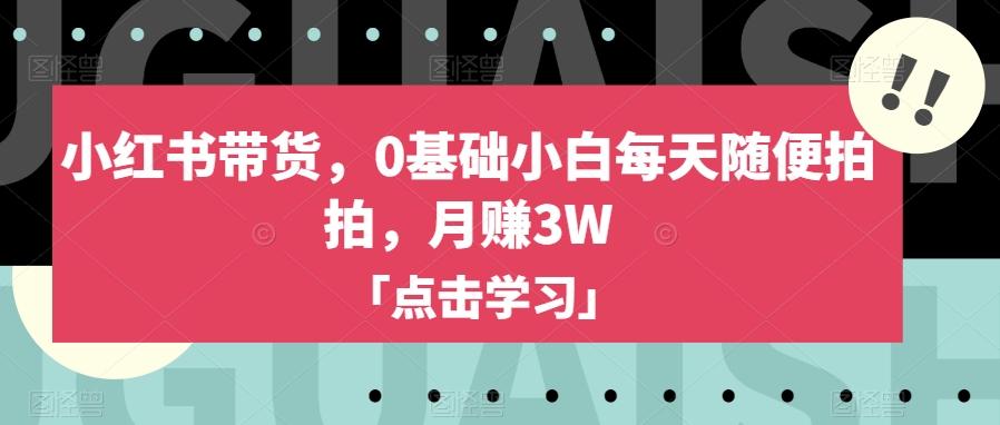 小红书带货，0基础小白每天随便拍拍，月赚3W【揭秘】-Ai创业网