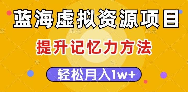 蓝海虚拟资源项目，提升记忆力方法，多种变现方式，轻松月入1w+【揭秘】-Ai创业网