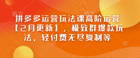 拼多多运营玩法课高阶运营【2月更新】，极致群爆款玩法，轻付费无尽复制等-Ai创业网